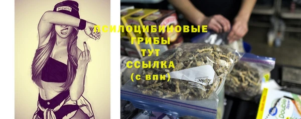 альфа пвп Верхнеуральск
