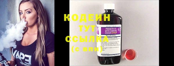 прущие грибы Бронницы