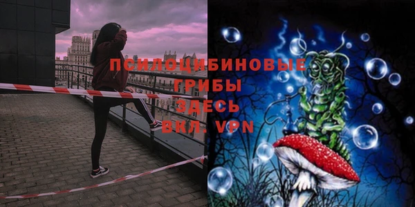 MESCALINE Верея